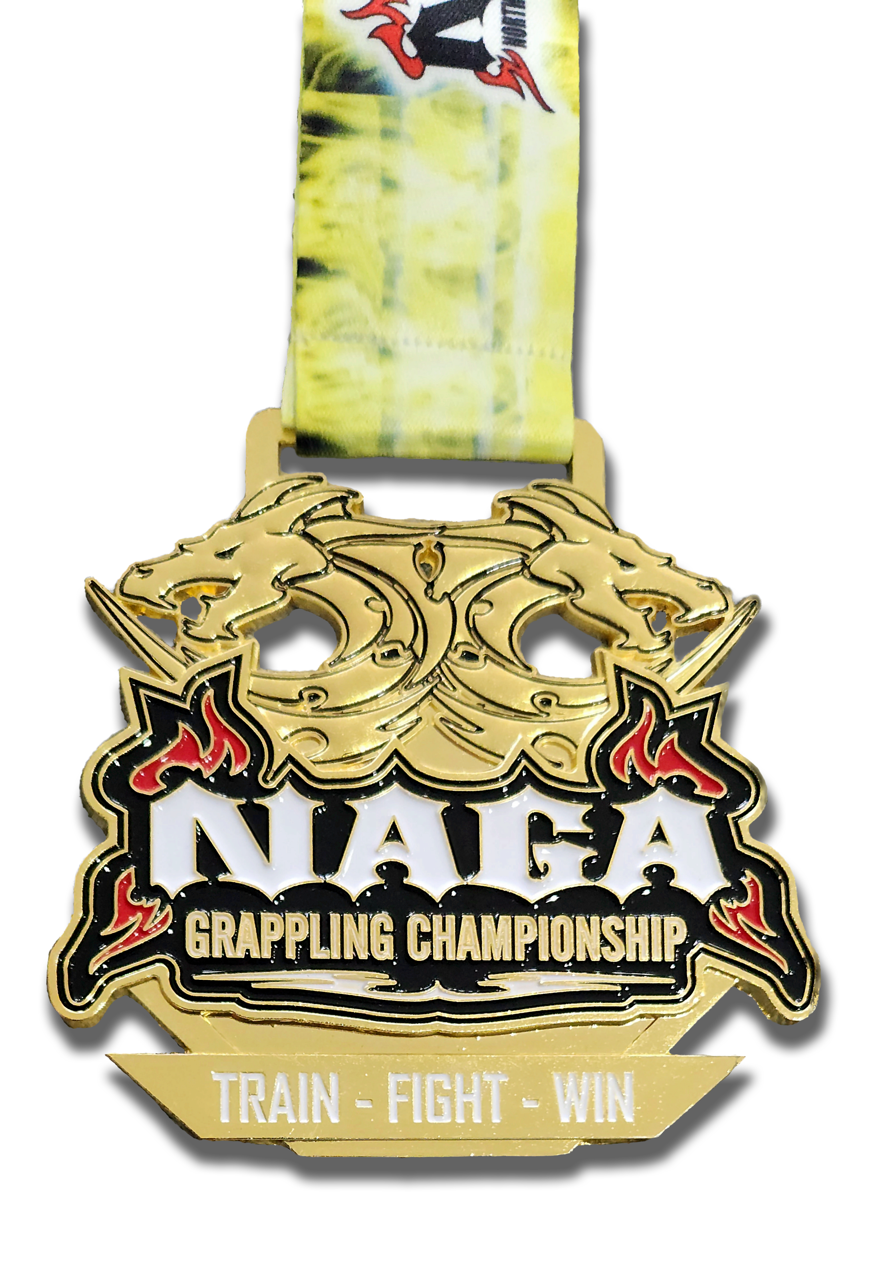 2023 NAGA Medal
